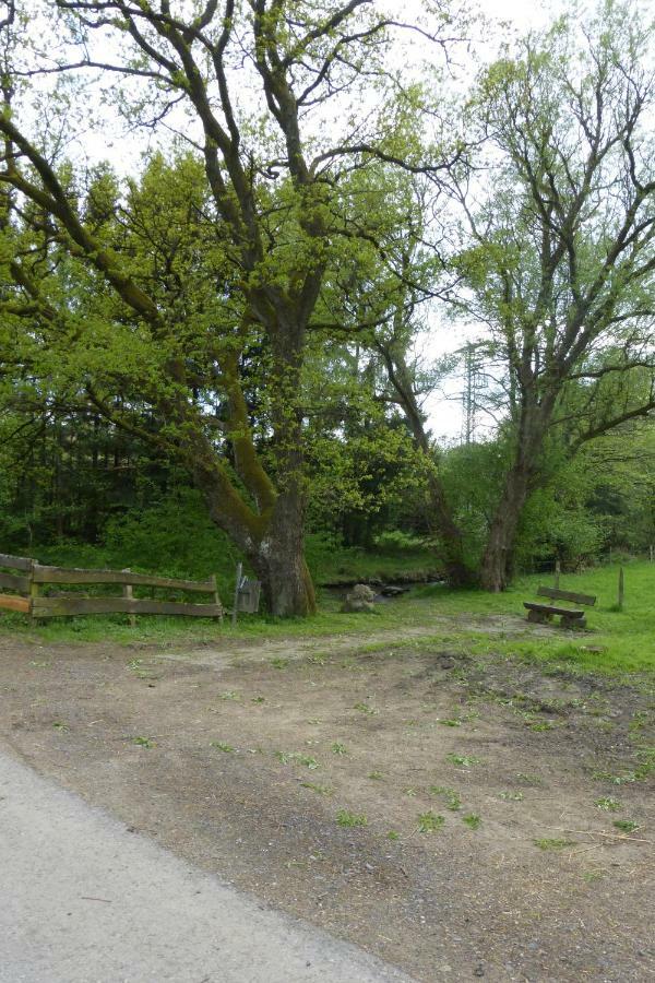 Am Eifelsteig Holiday home