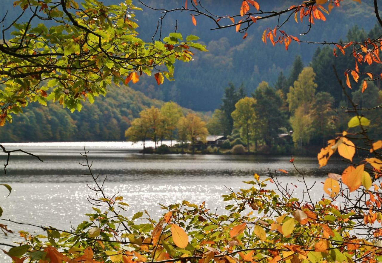 Am Eifelsteig Holiday home
