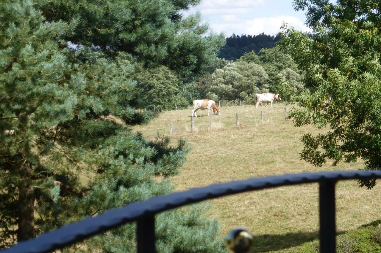 Am Eifelsteig Holiday home Roetgen